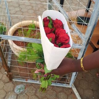 10 Stems Bunch of Red Roses