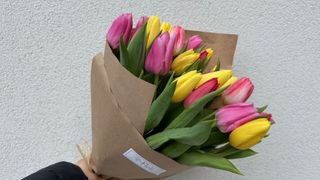 Bukiet kolorowych tulipanów - 15 sztuk