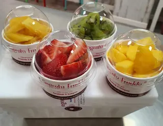 Yogurt Helado (1 Lt.)