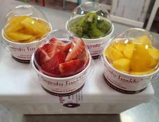 Yogurt Helado (1 Lt.)