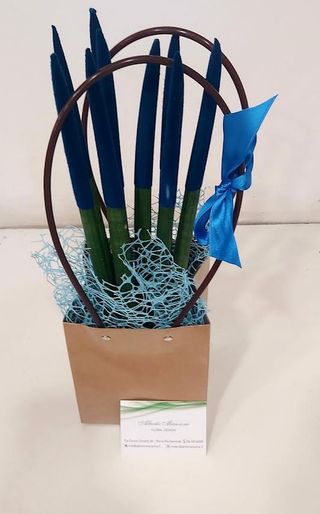 Sanseveriamatita media