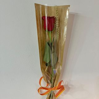 Rosa Sant Jordi