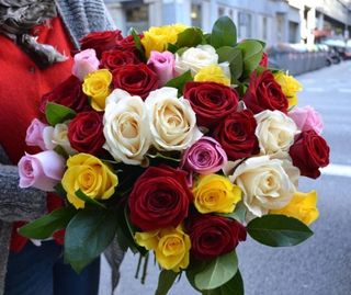 "Explosion" 12/20/30/40 Rosas