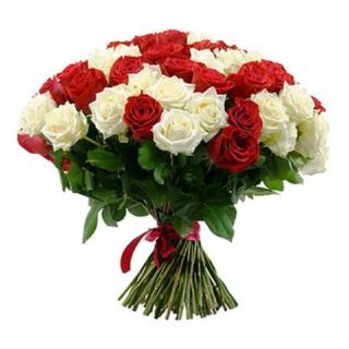 Roses rouges / blancs