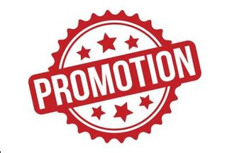 2 Tacos chawarma poulet normal + 2 Frites 