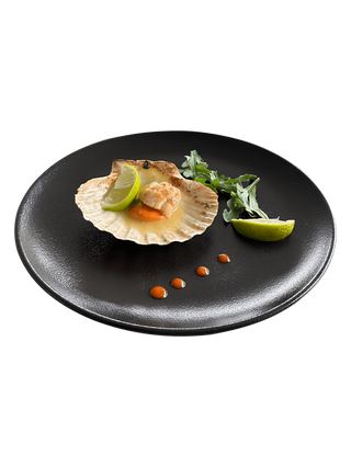 Мида сен жак в черупка(1бр.)