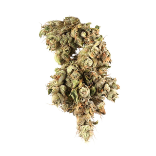 Jungle Cake CBD Premium