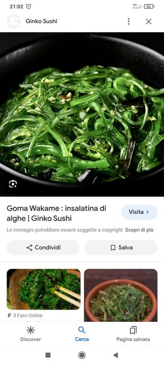 Alga wakame