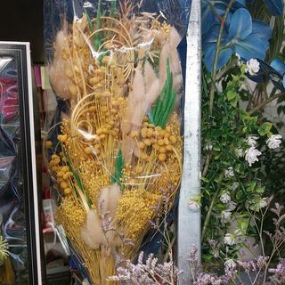 Fiori secchi colorato molto belli e decorativi