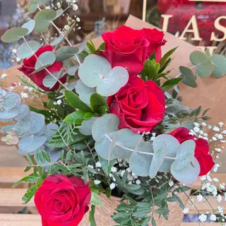 6 ROSAS ROJAS