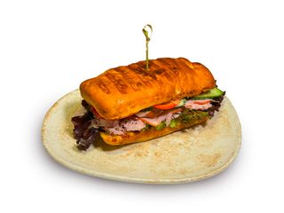 Панини с индейкой (250г)