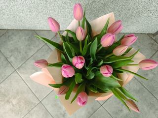 Bukiet z 15 tulipanów