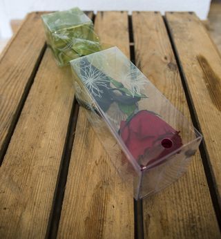 Rosa Preservada En Caja De Metraquilato (27 Cms Aprox)