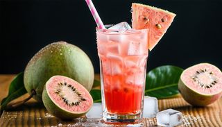 Napój guawa puszka 320 ml