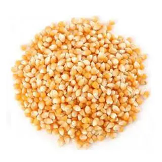 Maiz Palomitas (100 grs)