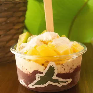 Bowl Tropical Mediano