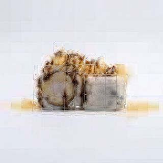 S53 Fish And Chips Roll