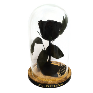 Cúpula De Cristal Con Rosa Eterna Negra