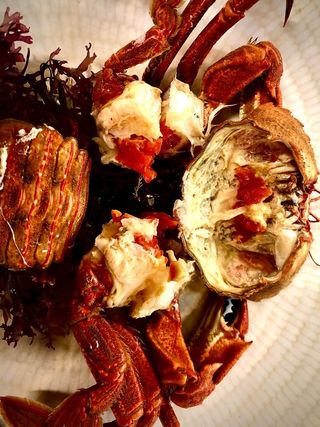 Nécora Gallega Cocida (1 Ud.)