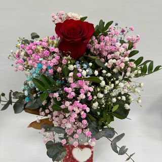 02-  ROSA TE QUIERO! ROSA ROJA