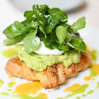 Avocado Croast [E]