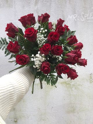 25 Rosas Rojas