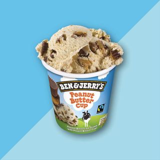 Ben & Jerry's Peanut Butter Barattolo 465ml