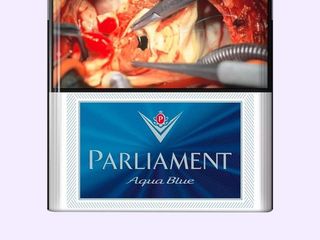 Parliament aqua blue