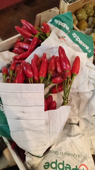 Peperoncino piccante a mazzetto