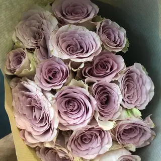 Bouquet 15 Roses mauve pastel