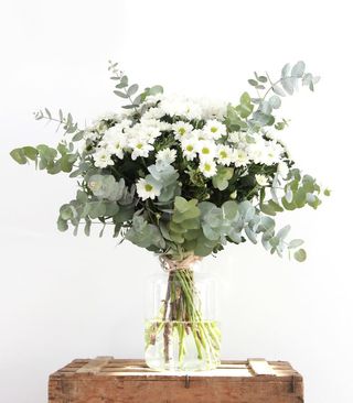 Ramo De Margaritas Con Jarrón