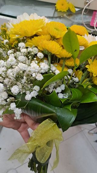 Bouquet de Margaridas Naturais