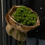 Хризантема сантіні 13 гілочок 