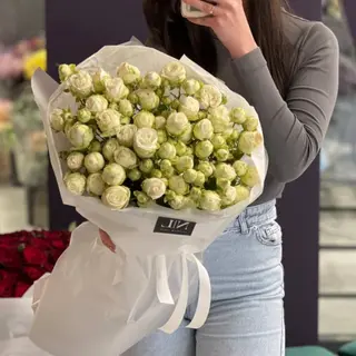 Ніжна кущова троянда 