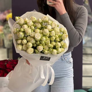 Ніжна кущова троянда 