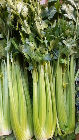 Sedano al mazzo 