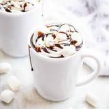 Hot Choc W / Whip Cream