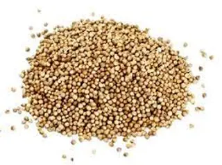 Cilantro En Grano Ecológico (50 Gr Aprox)