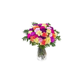 Bukiet z kolorowych goździków 7 szt.