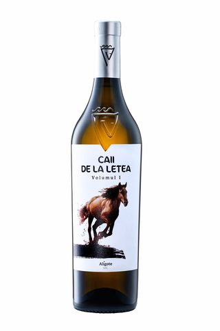 Caii de la Letea vol I   0.750ml
