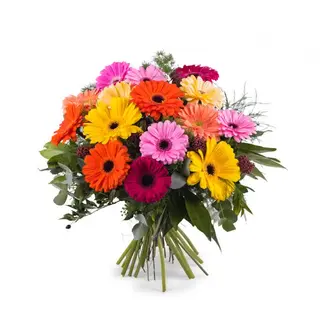 Ramo de Gerberas