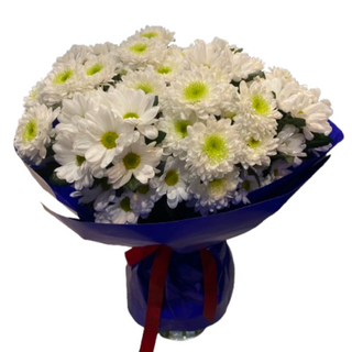 Bukiet Margaretek <<S<<