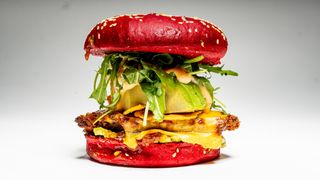 Avocado Chicken Burger