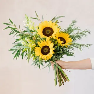 Girasoles