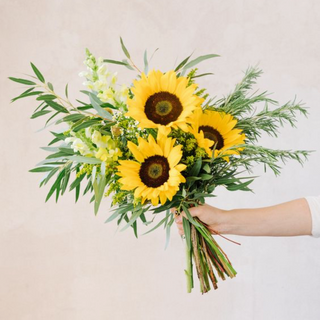 Girasoles