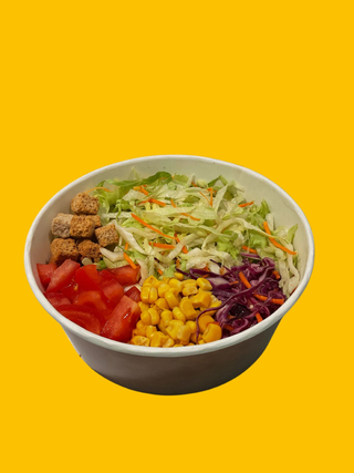 SALATA VEGETARIANA DRISTOR
