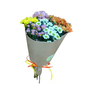 Margaridas Santini Mix