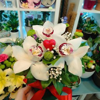 Cilindar sa tri bele  orhideje