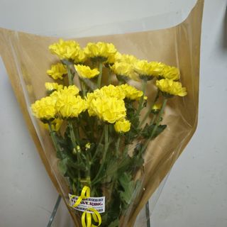 Margaritas Amarillas