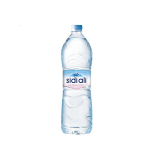 Sidi Ali 1 L